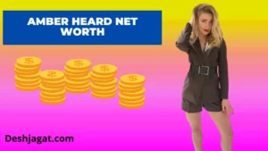 Amber Heard Net Worth & Annual Income