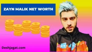 Zayn Malik Net Worth, Annual, Monthly Income, Age
