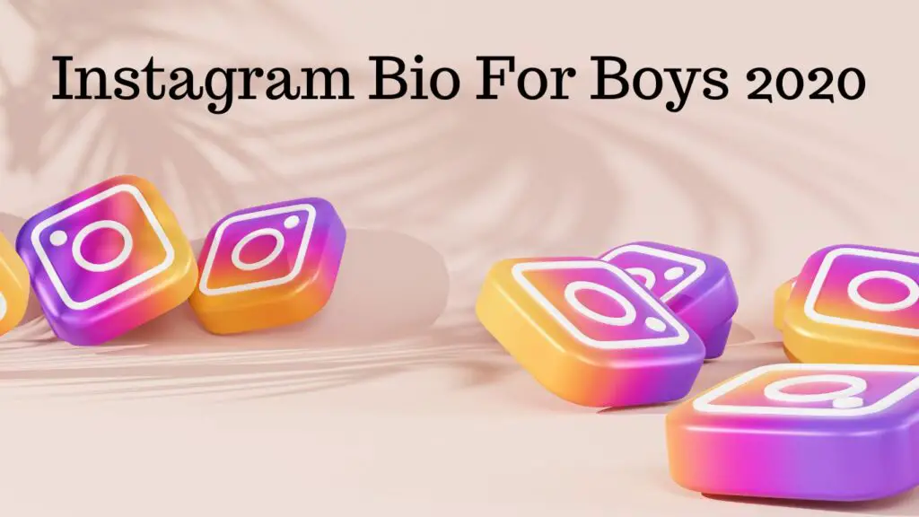 Instagram Bio For Boys 2020
